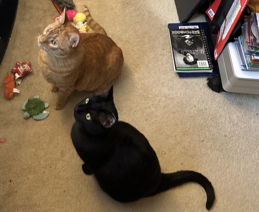 Melody and Willow sit on the floor looking up at a window.