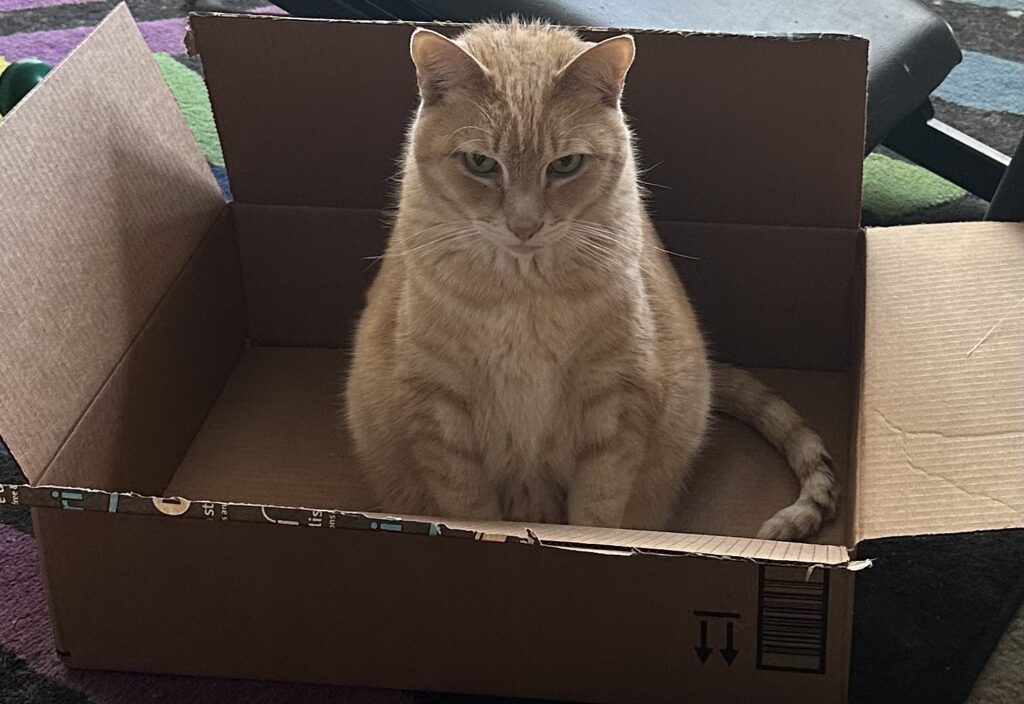 Mr Gaz in a box.