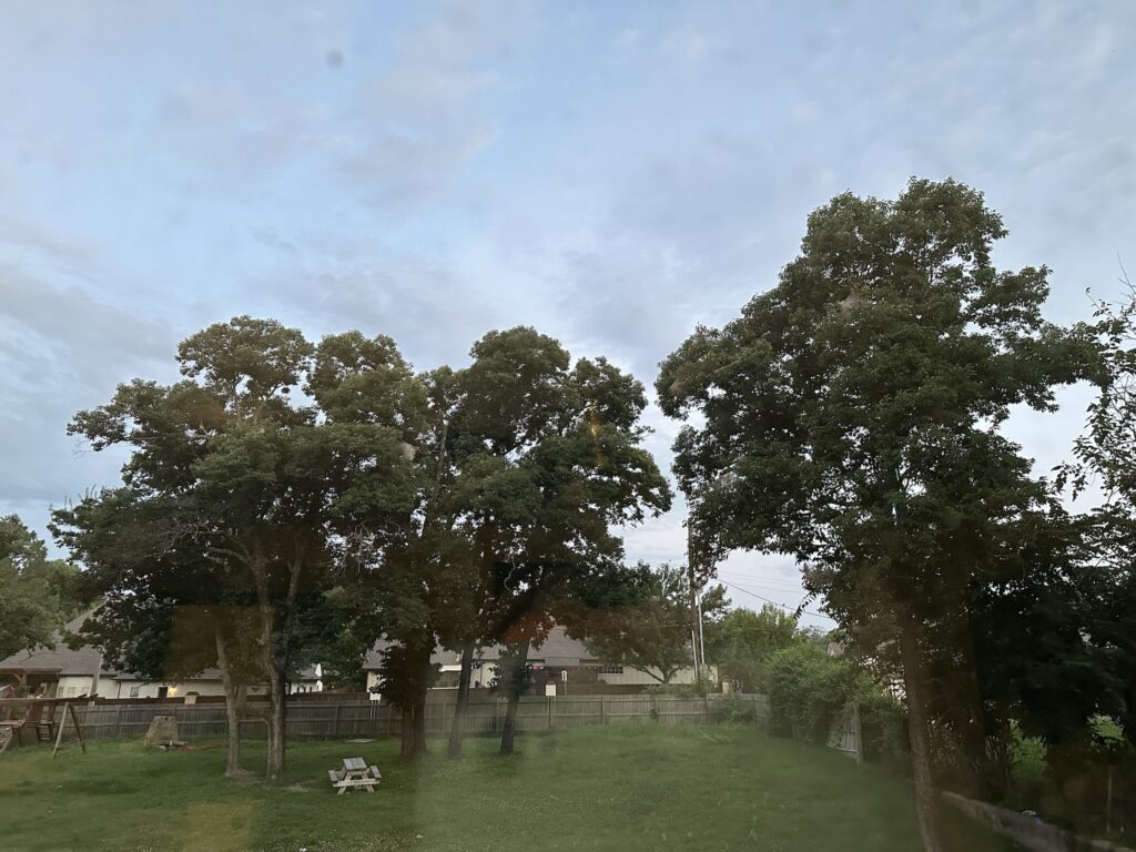 A sunrise with broken clouds and trees.